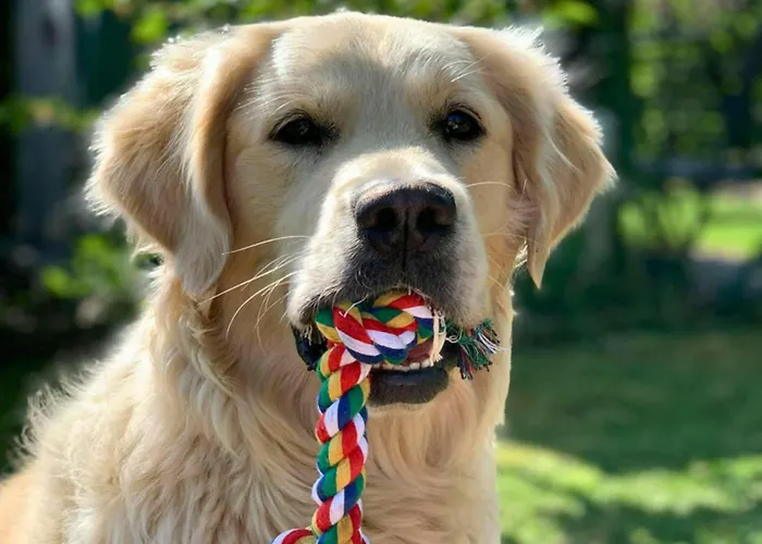 아파트 Cosy In The Oderbruch *