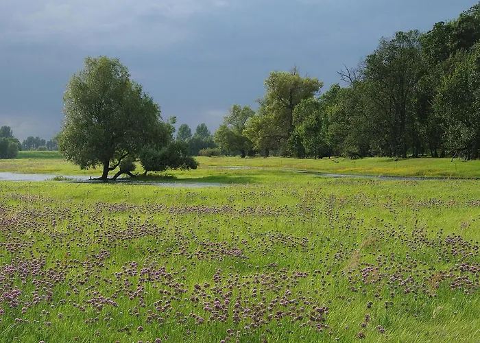 Apartment Cosy In The Oderbruch Genschmar