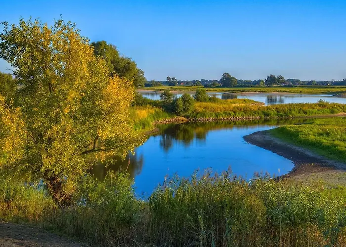 Cosy In The Oderbruch Apartment *